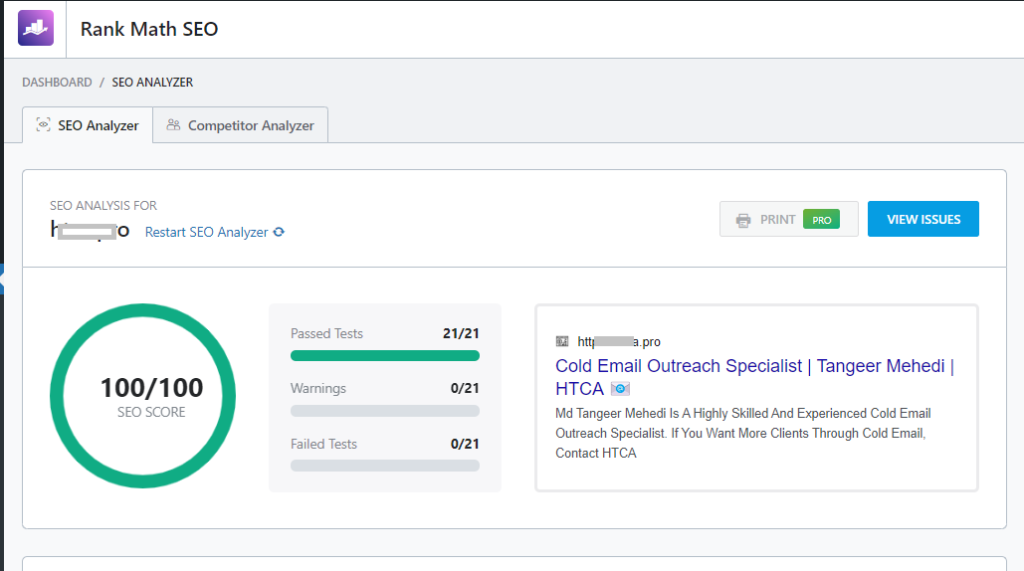 WordPress SEO Services