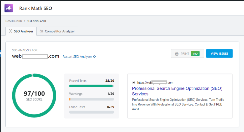 WordPress SEO Services